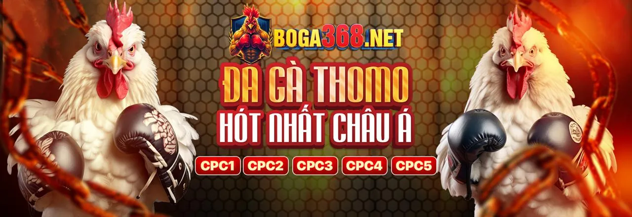 Nền tảng an toàn, uy tín hàng đầu